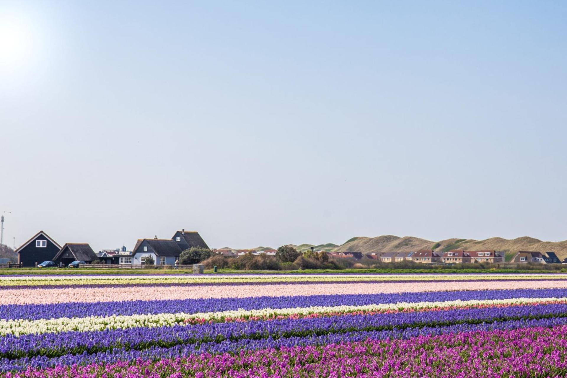 Duinland 251 - Park Duinland Sint Maartenszee Sint Maartensvlotbrug Esterno foto